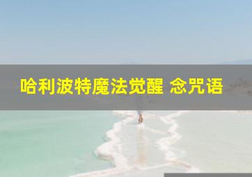 哈利波特魔法觉醒 念咒语